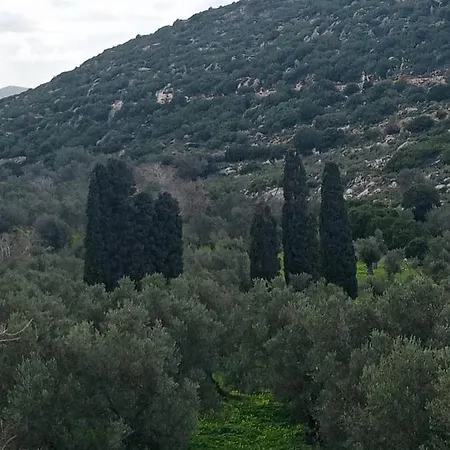 Σπίτι διακοπών Monitsia Traditional House