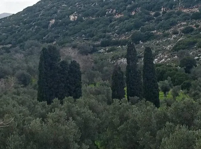 別荘 Monitsia Traditional House